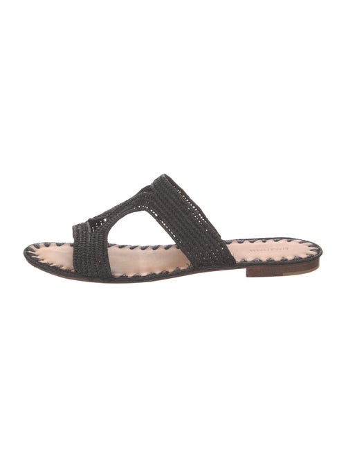 Carrie Forbes Straw Lasercut Accents Slides