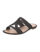 Carrie Forbes Straw Lasercut Accents Slides