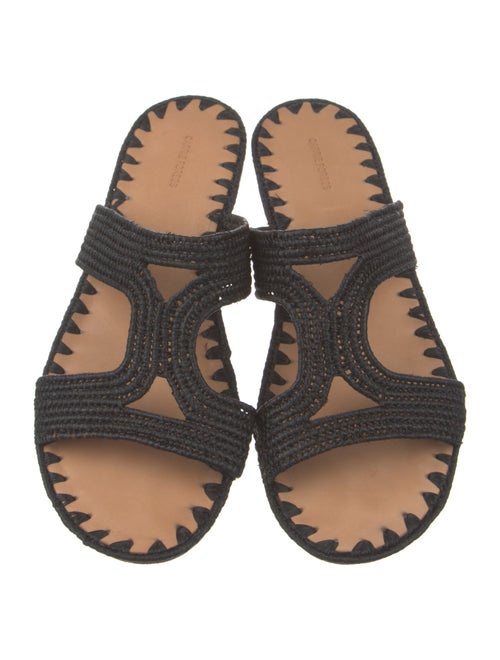 Carrie Forbes Straw Lasercut Accents Slides