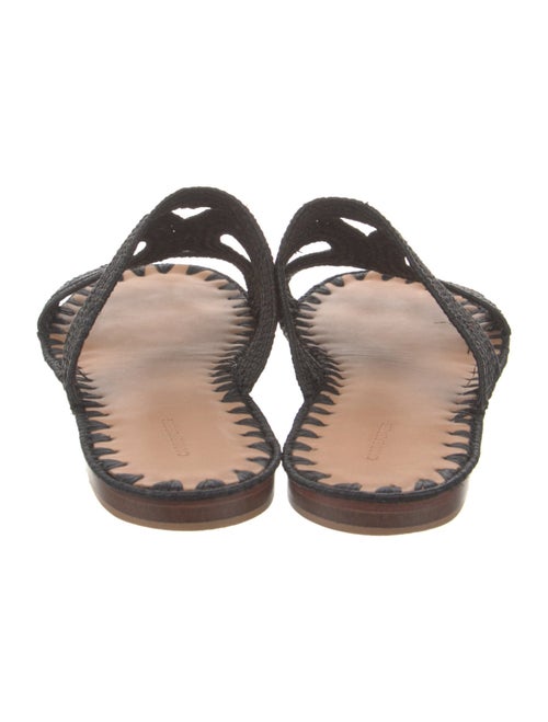 Carrie Forbes Straw Lasercut Accents Slides