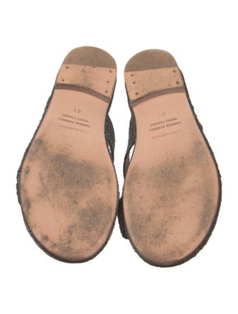 Carrie Forbes Straw Lasercut Accents Slides