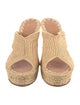 Carrie Forbes Straw Espadrilles