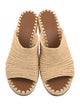 Carrie Forbes Straw Espadrilles