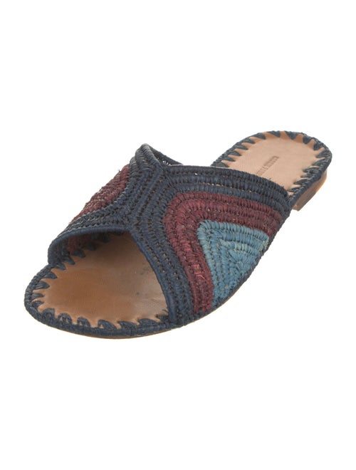Carrie Forbes Straw Printed Slides
