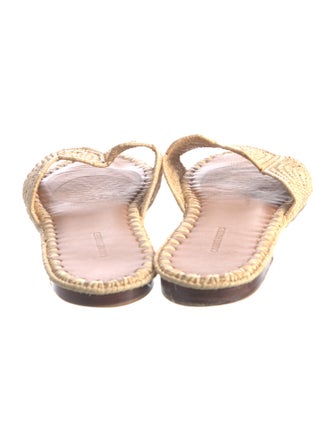 Carrie Forbes Straw Slides