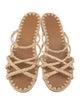 Carrie Forbes Straw Slides