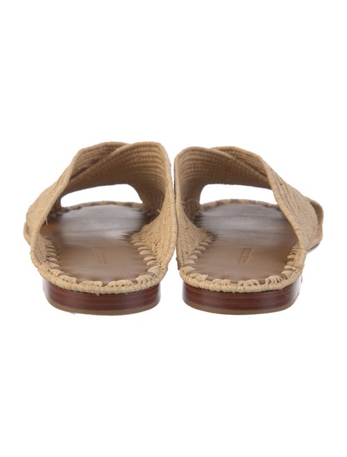 Carrie Forbes Straw Slides