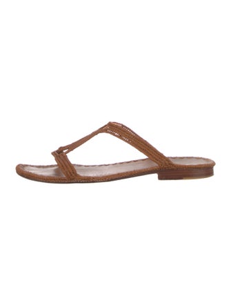 Carrie Forbes Slides