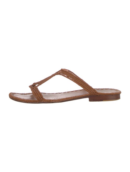 Carrie Forbes Slides