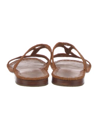 Carrie Forbes Slides