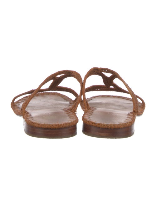 Carrie Forbes Slides