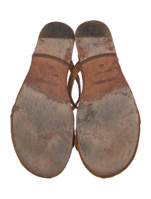 Carrie Forbes Slides