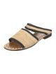 Carrie Forbes Straw Printed Slides