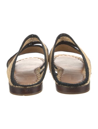 Carrie Forbes Straw Printed Slides