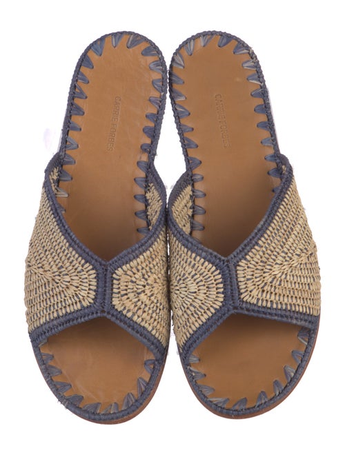 Carrie Forbes Straw Printed Slides