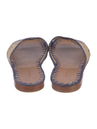 Carrie Forbes Straw Printed Slides