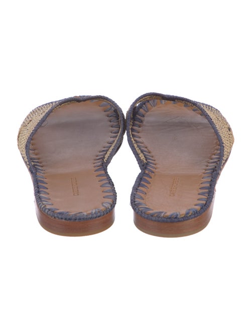 Carrie Forbes Straw Printed Slides