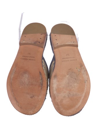 Carrie Forbes Straw Printed Slides