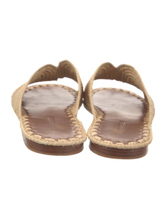 Carrie Forbes Straw Slides