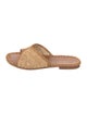 Carrie Forbes Raffia Printed Slides
