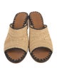 Carrie Forbes Raffia Slides