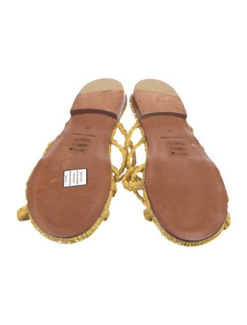 Carrie Forbes Straw Slides