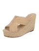 Carrie Forbes Raffia Braided Accents Espadrilles