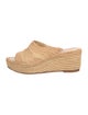 Carrie Forbes Raffia Espadrilles