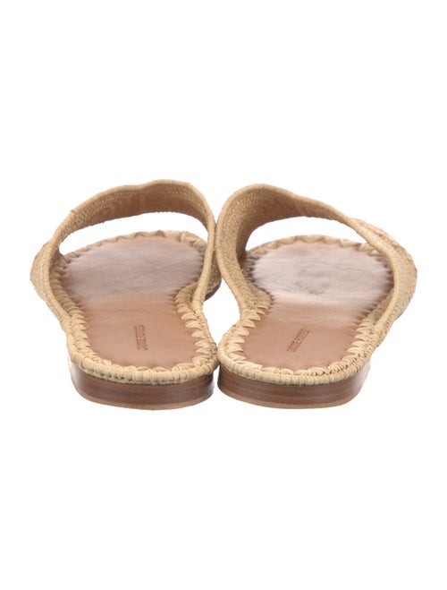 Carrie Forbes Straw Slides