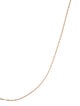 Catbird 14K Chain Necklace