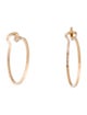 Catbird 14K Dream Hoop Earrings