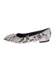 Cavalli Class Snakeskin Animal Print Flats