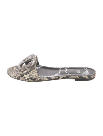 Cavalli Class Python Animal Print Espadrilles