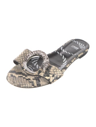 Cavalli Class Python Animal Print Espadrilles