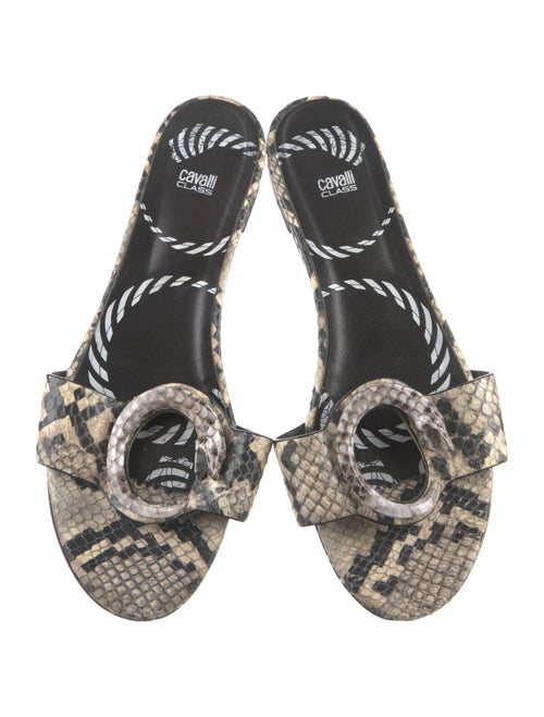 Cavalli Class Python Animal Print Espadrilles
