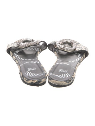 Cavalli Class Python Animal Print Espadrilles