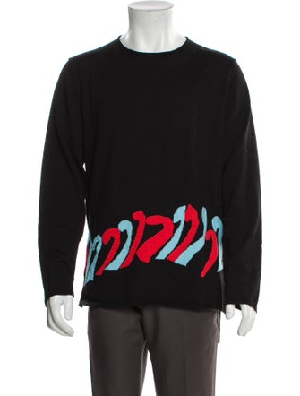 Comme des Garçons Homme Plus Graphic Print Crew Neck Pullover