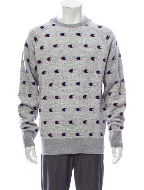 Champion Printed Crew Neck Sweatshirt w/ Tags Grey