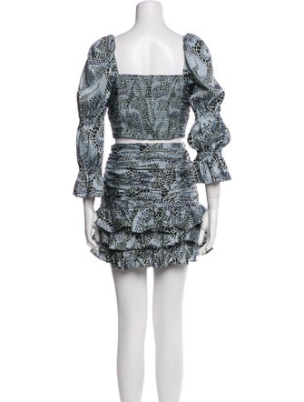 Cinq à Sept Animal Print Skirt Set