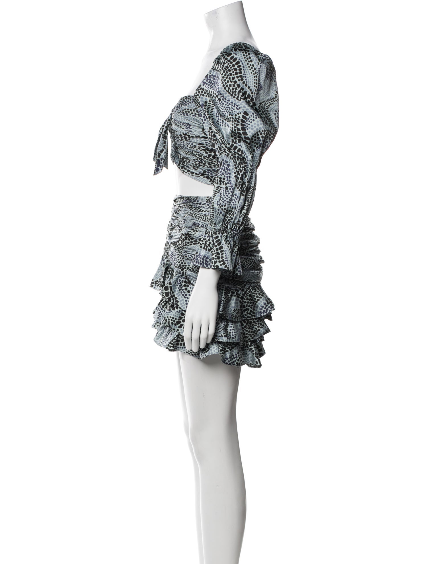 Cinq à Sept Animal Print Ruffle Embellishment Skirt Set