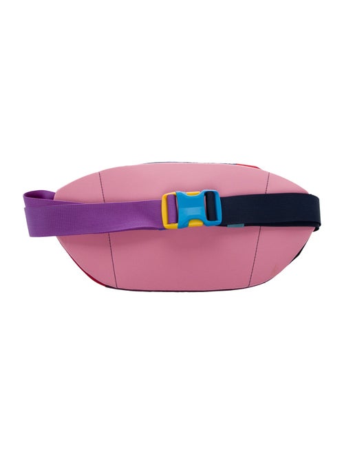 Cotopaxi Nylon Belt Bag