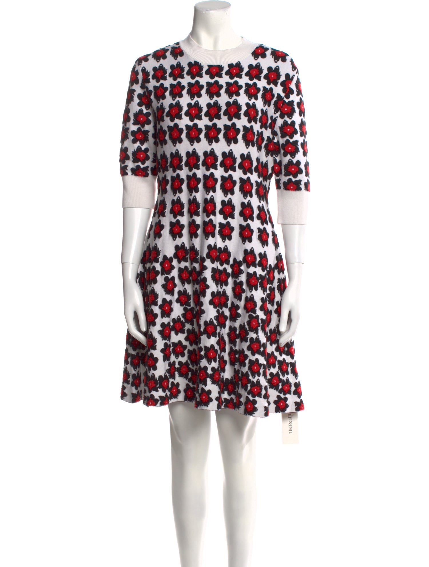 Jonathan Cohen Printed Mini Dress