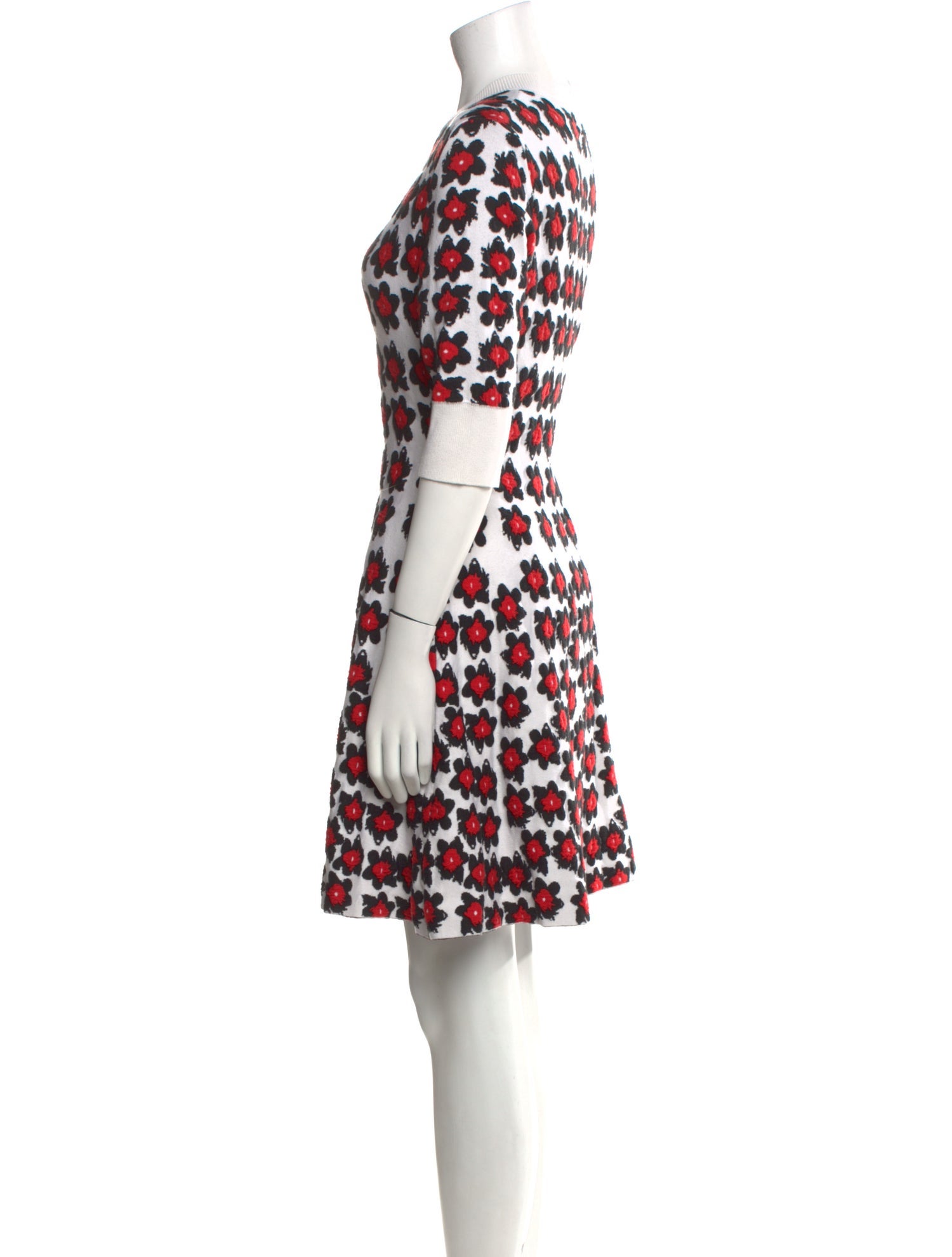 Jonathan Cohen Printed Mini Dress