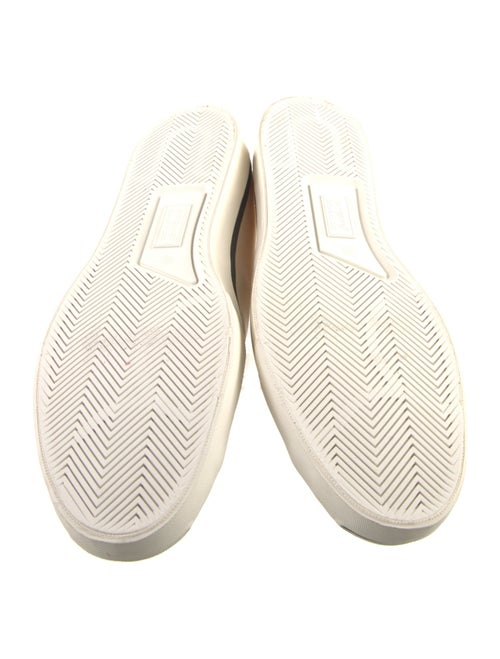 Converse Canvas Printed Sneakers