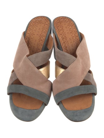 Chie Mihara Suede Slides