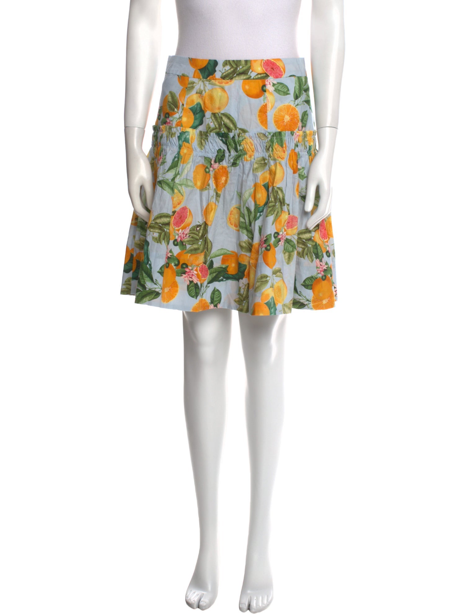 Cara Cara Printed Knee-Length Skirt