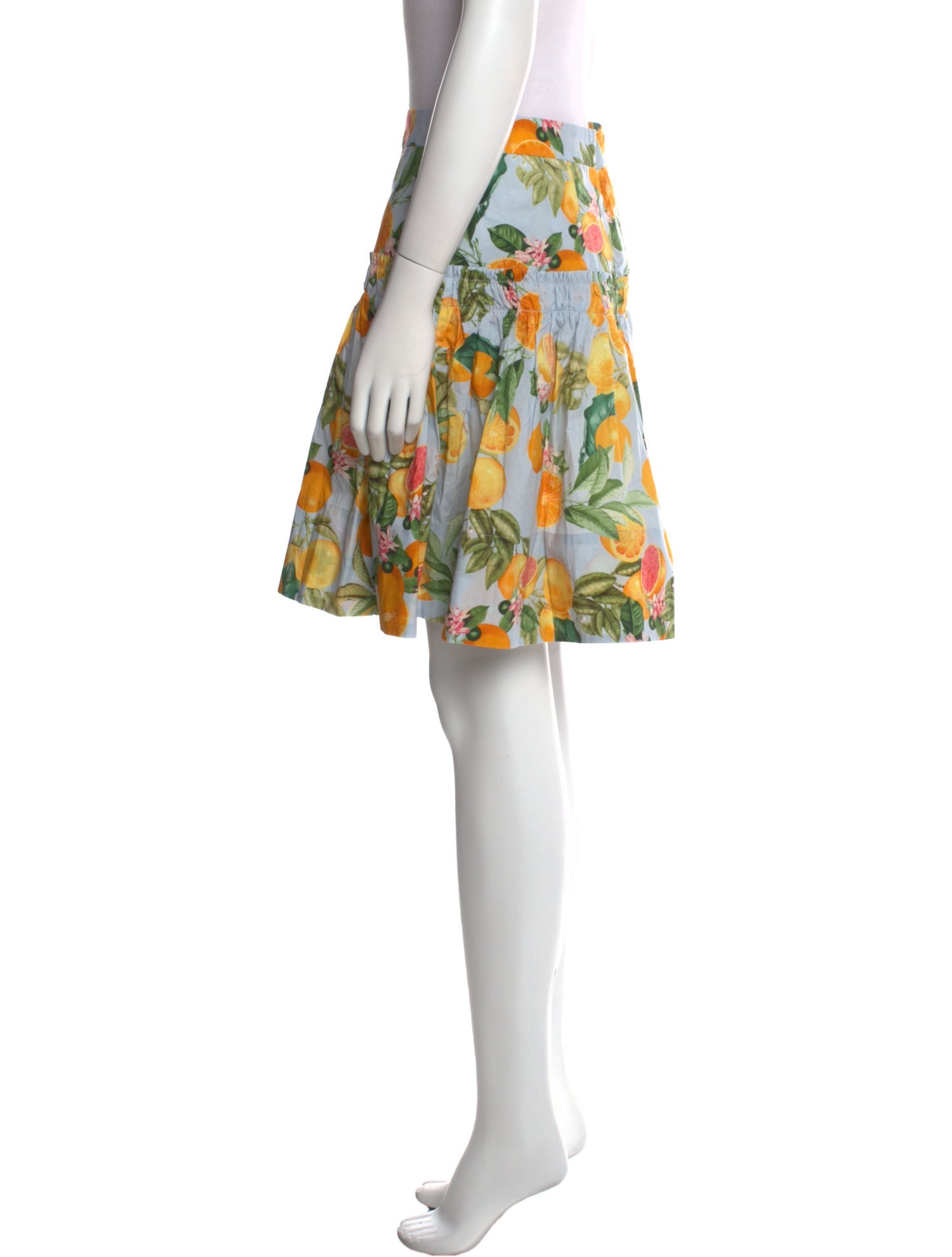 Cara Cara Printed Knee-Length Skirt