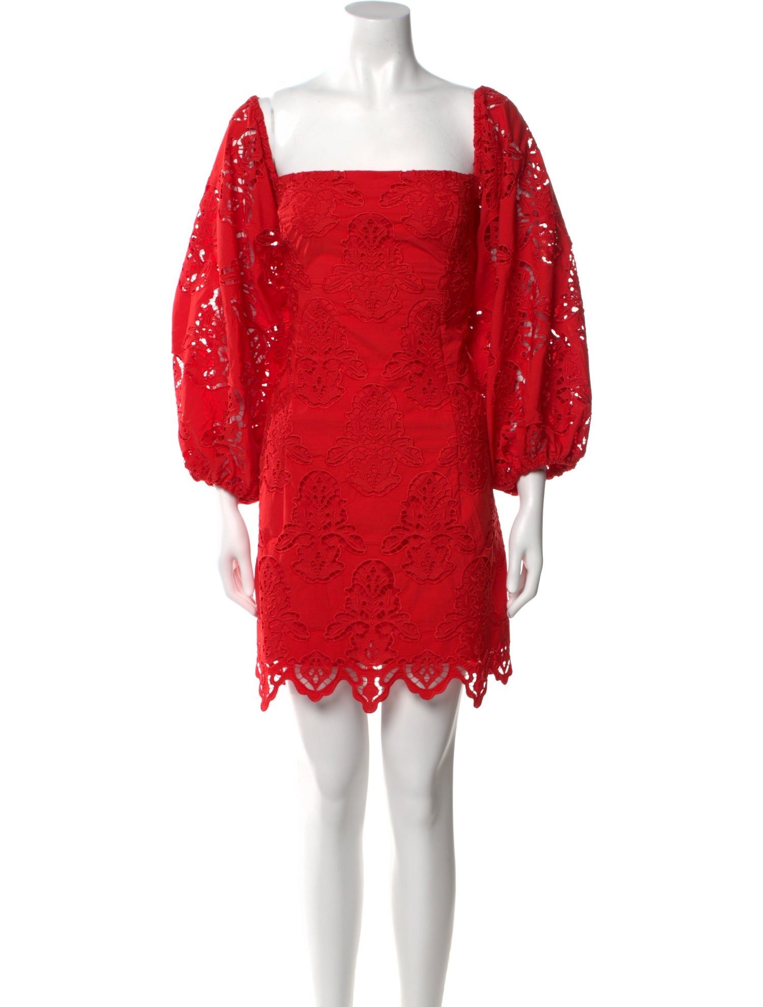 Cara Cara Lace Pattern Mini Dress