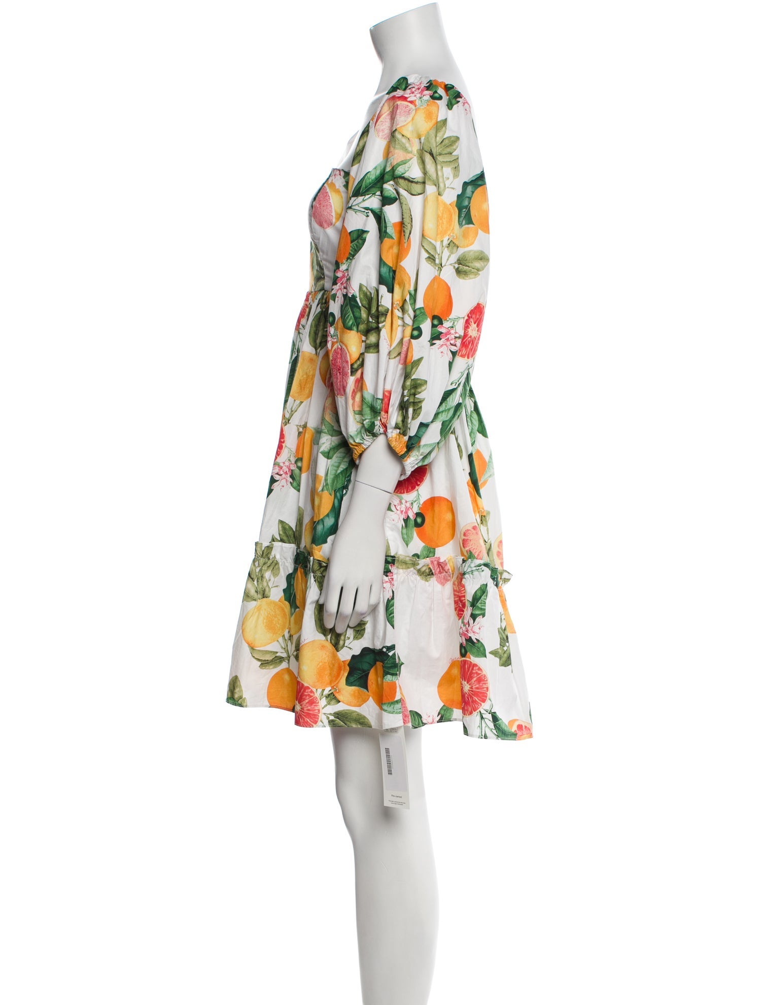 Cara Cara Floral Print Mini Dress