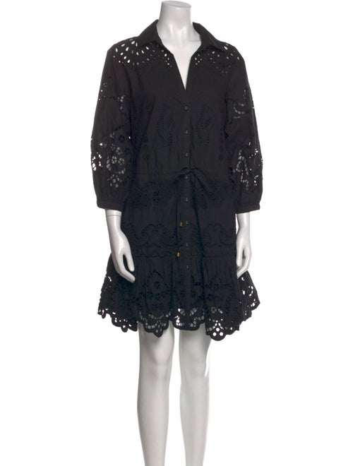 Cara Cara Lace Pattern Mini Dress